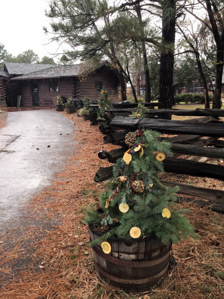 Christmas Trees with edible treats for the birds and the beasts line the walkway at Riordan Mansion courtesy of the Flagstaff Flower & Garden Club. Photos by www.AmigosNAZ ©2016