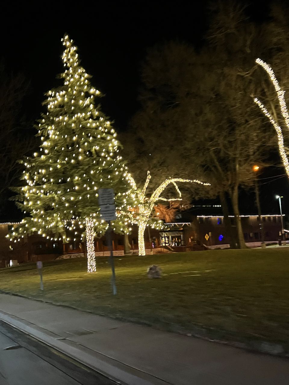 12-12-21 Luminarias-018