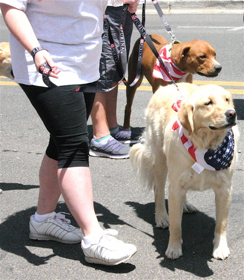 Flagstaff Armed Forces Day Parade