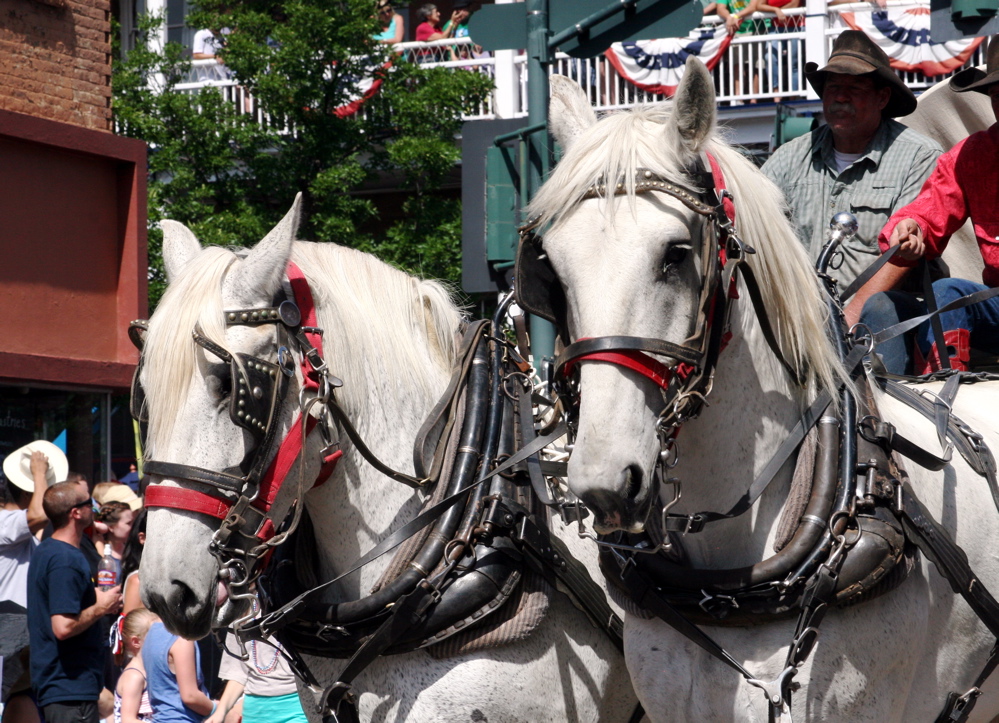 07-04-15 Parade02q