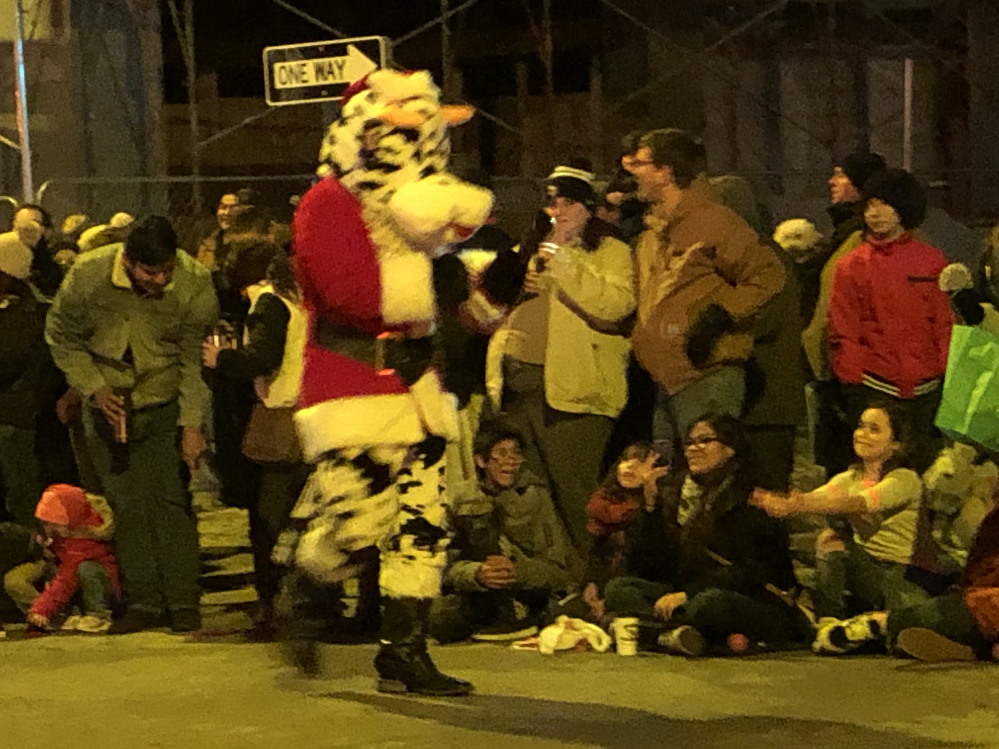 12-08-18 Holiday Parade of Lights-02